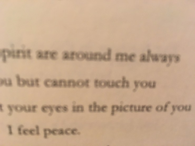 Laura Vanessa Nunes_Mubarak bin Fahad_Burj Khalifa suicide_Laura's Voice Whispers from an Angel_Leona Sykes_ IMG_2215